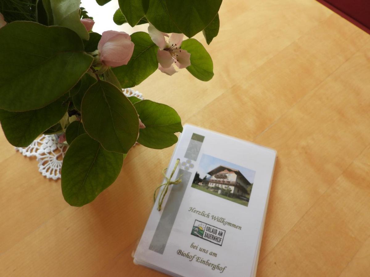 Ferienwohnung Bio-Bauernhof Einberghof Pfarrwerfen Exterior foto