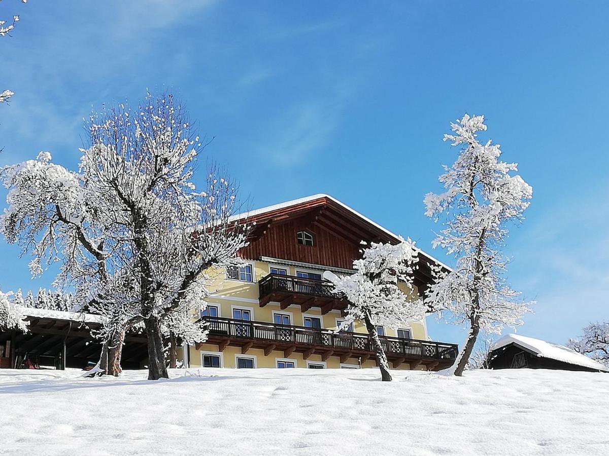 Ferienwohnung Bio-Bauernhof Einberghof Pfarrwerfen Exterior foto