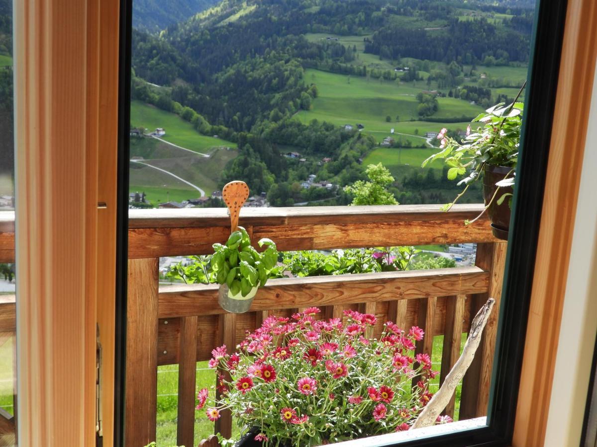 Ferienwohnung Bio-Bauernhof Einberghof Pfarrwerfen Exterior foto