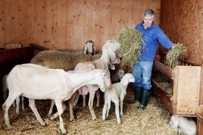 Ferienwohnung Bio-Bauernhof Einberghof Pfarrwerfen Exterior foto