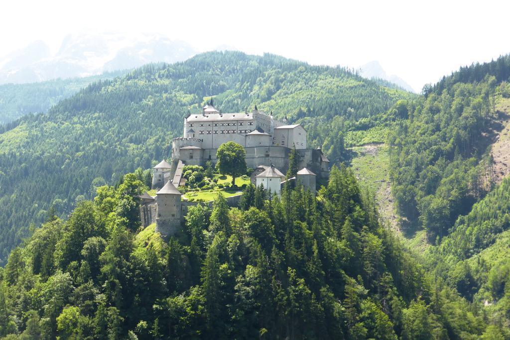 Ferienwohnung Bio-Bauernhof Einberghof Pfarrwerfen Exterior foto